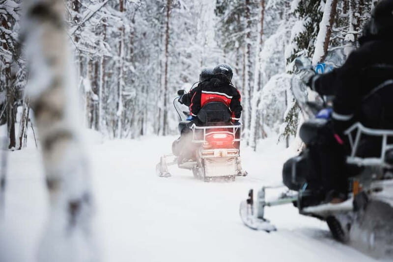 Rovaniemi: Snowmobile Tour and Reindeer Experience - Driving rules and licensing: plan this first, not last