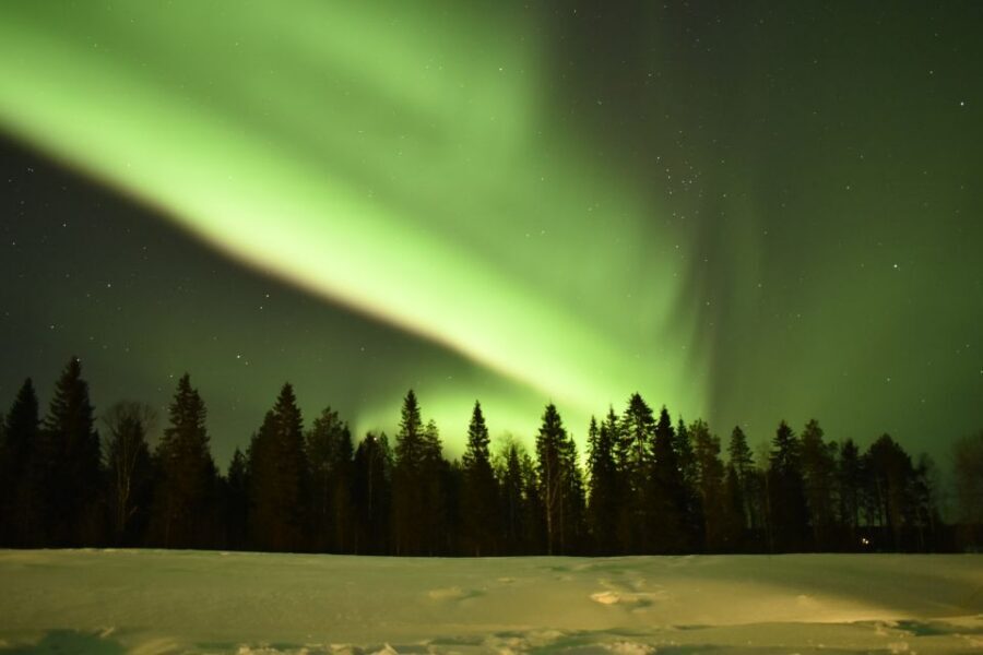 Rovaniemi: Snowtrain to Northern Lights Camp - Campfire snacks and hot drinks: where the evening warms up
