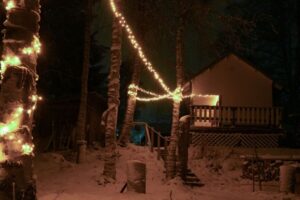 Rovaniemi: Traditional Sauna and Ice Swimming Experience - From Pajatie 11 to the sauna: what the logistics really feel like