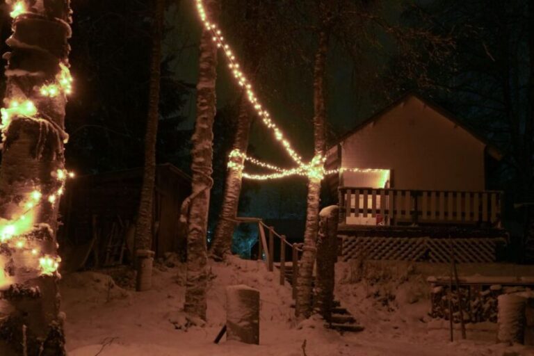 Rovaniemi: Traditional Sauna and Ice Swimming Experience - From Pajatie 11 to the sauna: what the logistics really feel like