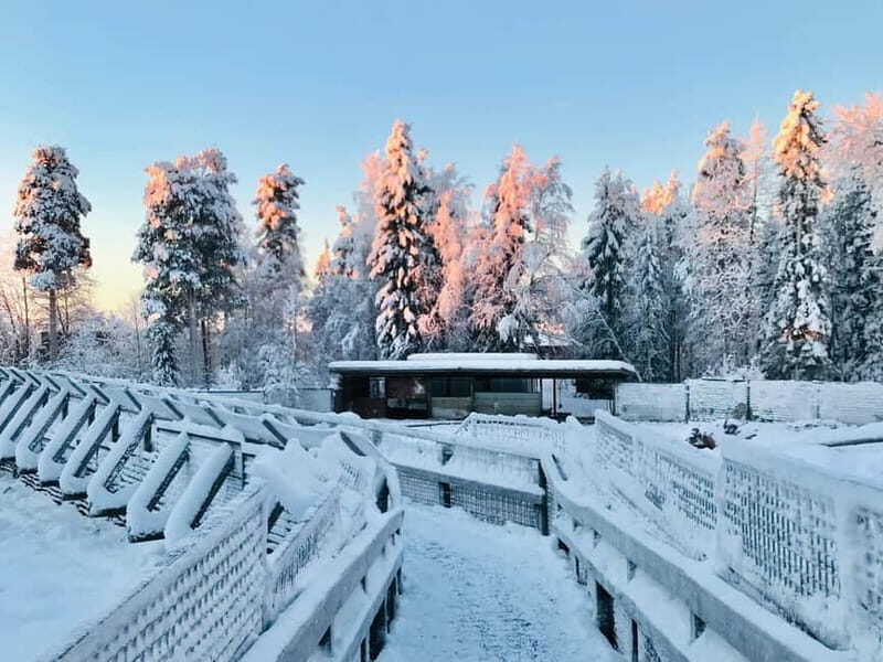 Rovaniemi: Trip to Ranua Zoo with Tickets - What to Wear and Bring for Lapland Cold (So You Can Actually Enjoy It)