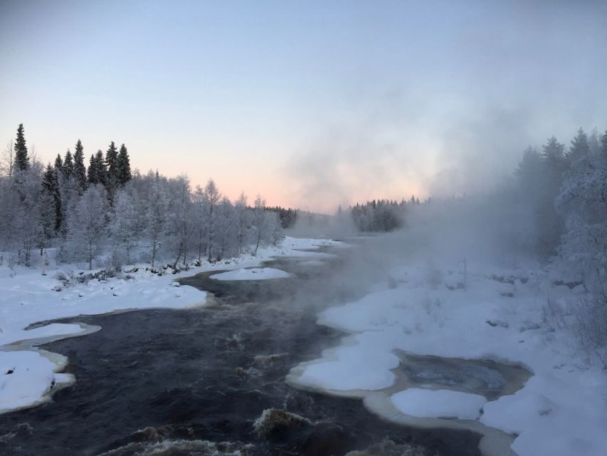 Rovaniemi: Wilderness Tour - Getting there smoothly from Rovaniemi