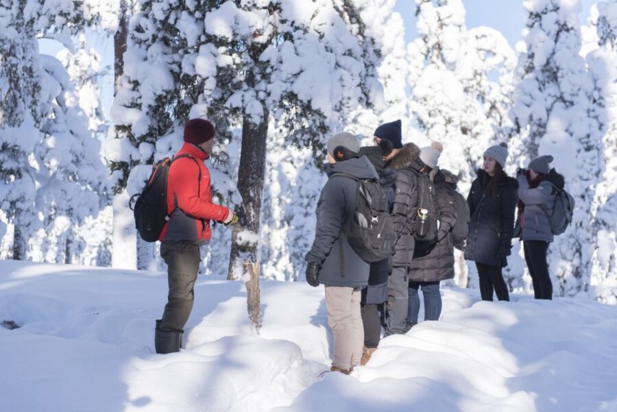 Rovaniemi: Wilderness Tour - The setting: why Lapland feels different on a guided walk