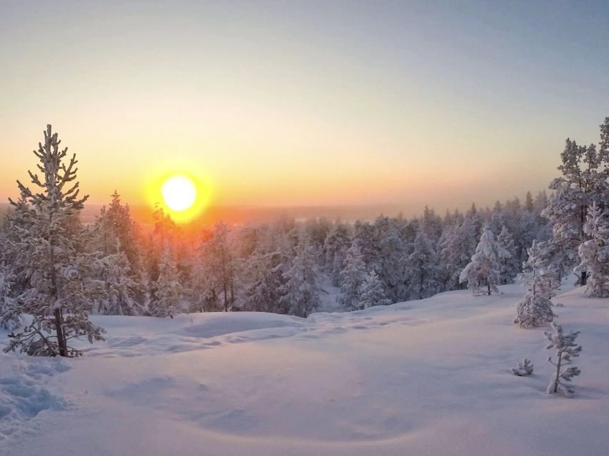 Rovaniemi: Wilderness Tour - Summer version: fairytale forests and learning to appreciate nature