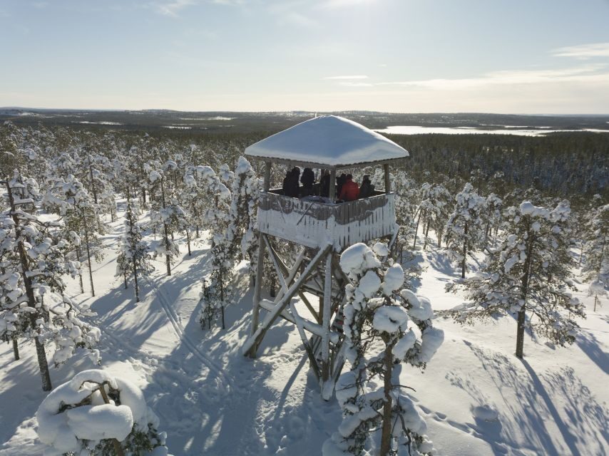 Rovaniemi: Wilderness Tour - Winter experience: reading footprints in the snow