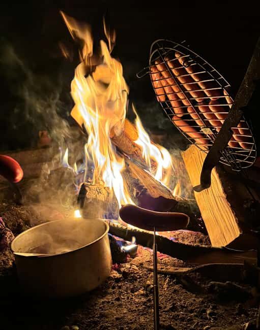 Rovaniemi:Northern Lights Hunt in Lapland Wilderness - Quick hits before you go