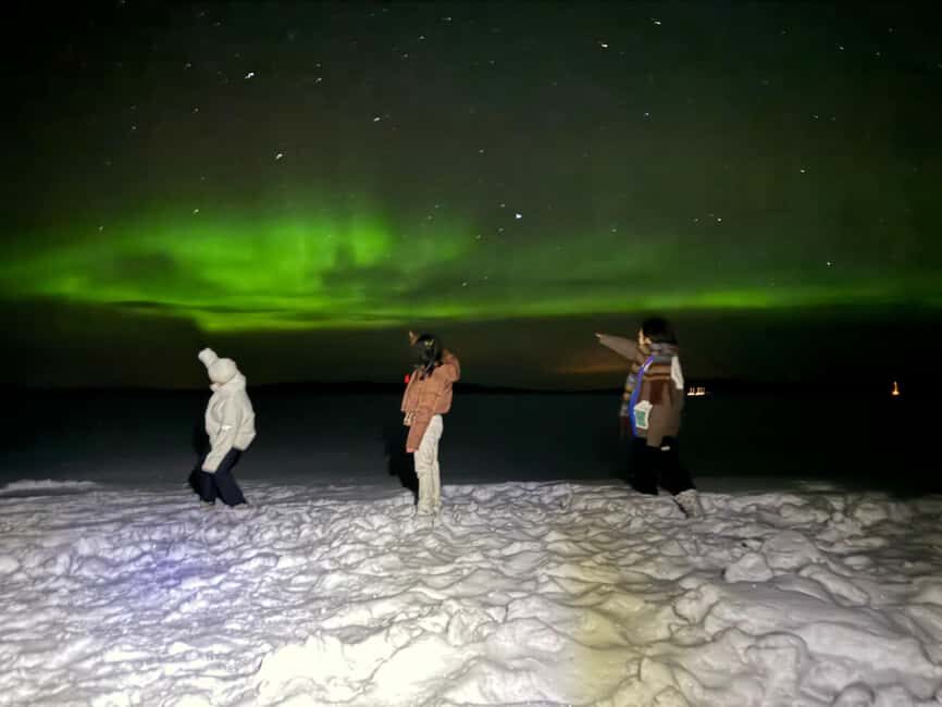 Rovaniemi:Northern Lights Hunt in Lapland Wilderness - How the guide boosts your odds: solar activity, weather, and smart timing