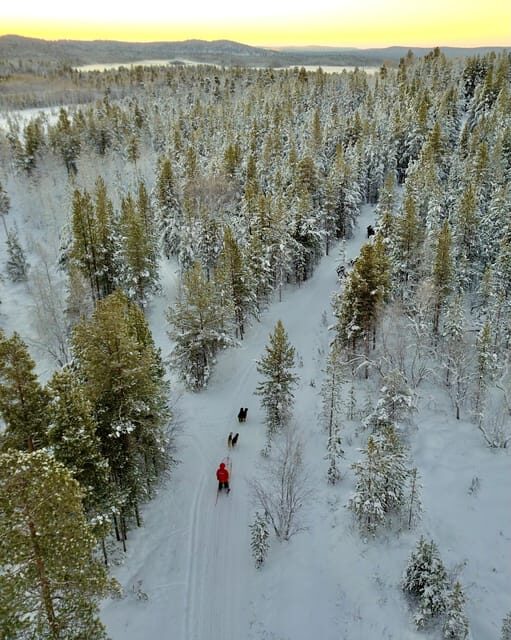 Saariselkä: 10KM Husky Safari with kennel visit - Key highlights you’ll feel right away