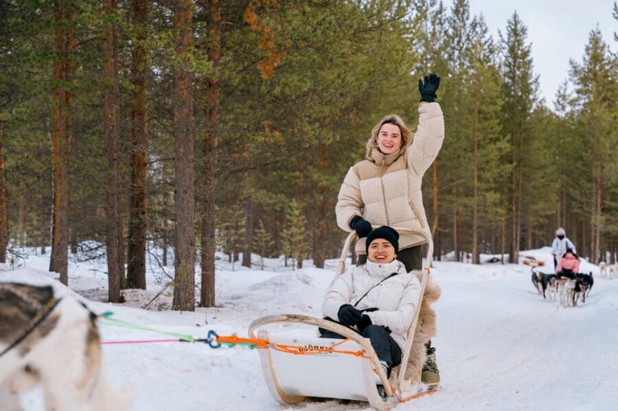 Saariselkä: 10KM Husky Safari with kennel visit - Driving huskies in Saariselkä: what the 10 km mushing run is really like