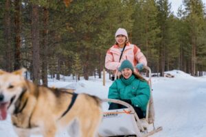 Saariselkä: 10KM Husky Safari with kennel visit - Saariselkä or Ivalo pickup: the van ride tradeoff you should expect
