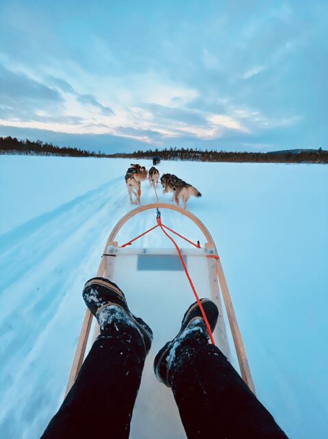 Saariselkä: 10KM Husky Safari with kennel visit - Safety briefing first: how you go from passenger to musher