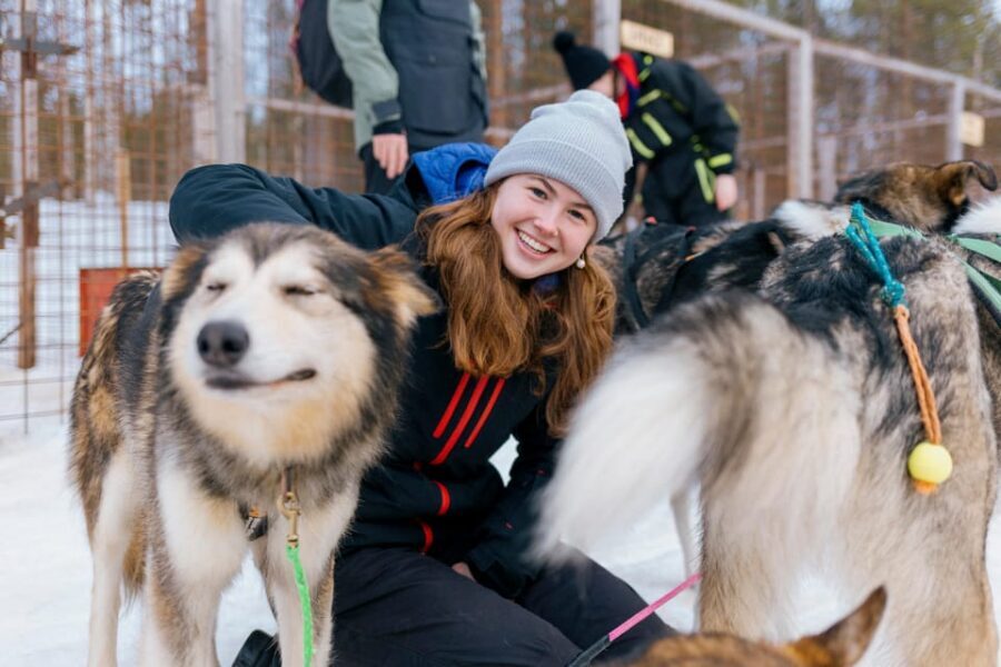 Saariselkä: 10KM Husky Safari with kennel visit - Group size and what to do with expectations