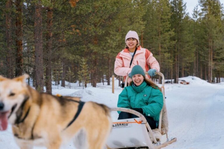 Saariselkä: 10KM Husky Safari with kennel visit - Saariselkä or Ivalo pickup: the van ride tradeoff you should expect