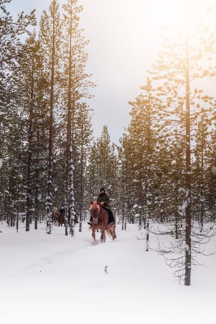 Saariselkä: Arctic Trail Horse Riding Tour - Polaris Point Horses Check-In: Helmet First, Then a Real Horse Intro