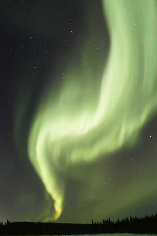 Saariselkä: Aurora Photo Tour by Car with Transfer & Drinks - Aurora Reality Check: The Unpredictable Part You Can’t Fix