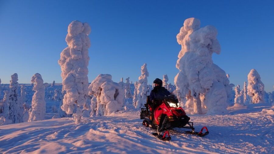 Saariselkä: Evening Snowmobile Tour with Fire & picnic - Small-group reality: snowmobiles, partners, and kids
