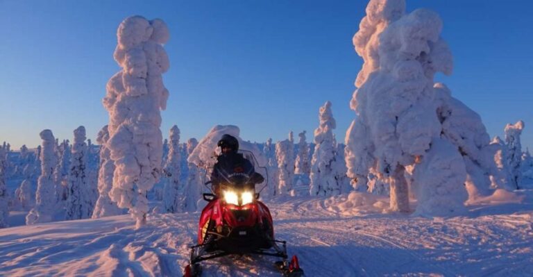 Saariselkä: Evening Snowmobile Tour with Fire & picnic - The ride lesson: snowmobile instructions that actually help