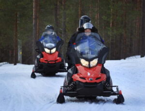 Saariselka: Snowmobile Safari on Tundra with BBQ - Price and value: what $175 really buys in Lapland