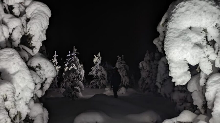 Saariselkä: Snowshoeing Tour in Urho Kekkonen National Park - Why This Snowshoe Tour Feels Different Than a Standard Walk