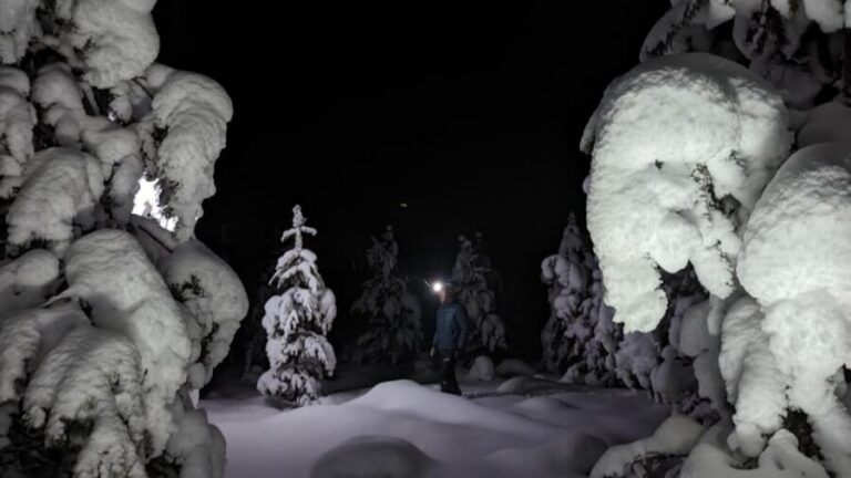 Saariselkä: Snowshoeing Tour in Urho Kekkonen National Park - Who This Tour Suits Best (and Who Might Want to Skip It)