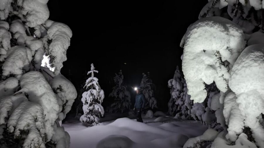 Saariselkä: Snowshoeing Tour in Urho Kekkonen National Park - Who This Tour Suits Best (and Who Might Want to Skip It)