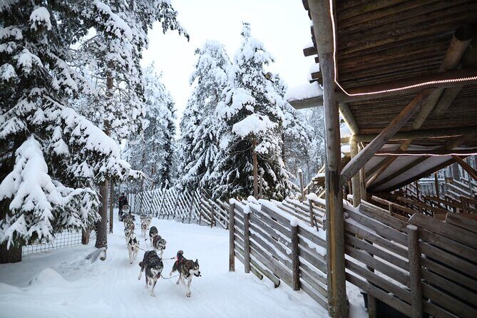 Santa Claus Village, Husky and Reindeers Combo Safari - Key points to know before you go