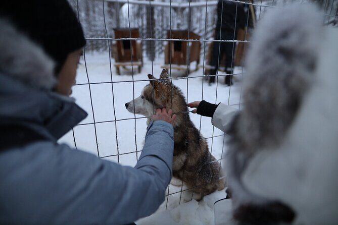 Santa Claus Village, Husky and Reindeers Combo Safari - A 4-hour Lapland hit: what this tour really covers