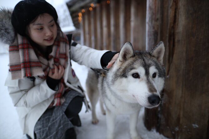 Santa Claus Village, Husky and Reindeers Combo Safari - Where Santa, huskies, and reindeer can feel mismatched