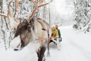 Santa's Reindeer & Husky Safari + Aurora BBQ in Rovaniemi - The midday gap: smart free time, not just waiting