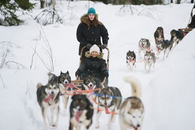 Santa's Reindeer & Husky Safari + Aurora BBQ in Rovaniemi - Aurora BBQ in a Kota: sausage, tea, and marshmallow time