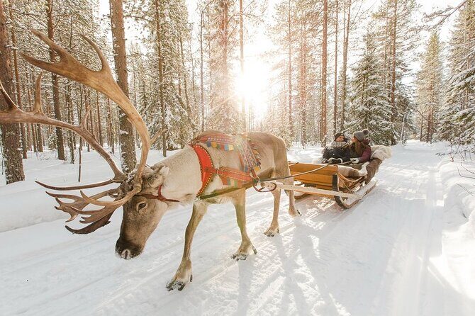 Santa's Reindeer & Husky Safari + Aurora BBQ in Rovaniemi - Logistics that matter: transfers, timing, and the mid-day option