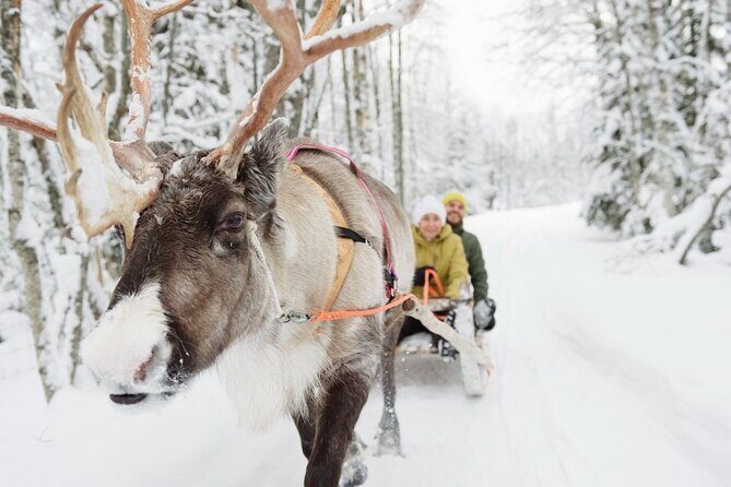 Santa's Reindeer & Husky Safari + Aurora BBQ in Rovaniemi - The midday gap: smart free time, not just waiting