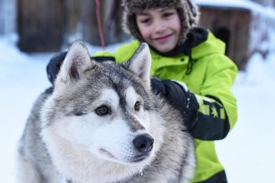 Sirkka: Husky Sled Ride in Levi 2km or 5 km from Levi - Warm-up by the fire: Included hot drinks that actually help