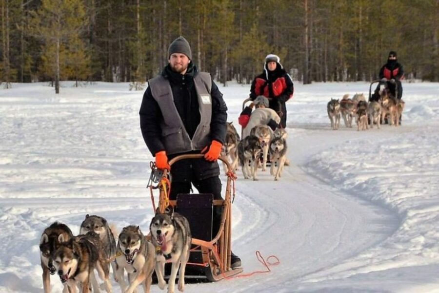 Sirkka: Husky Sled Ride in Levi 2km or 5 km from Levi - Price and value: What $199 gets you in real-world terms