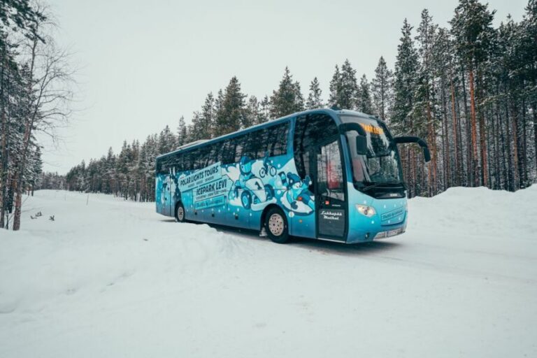 Sirkka: Levi Ice-Karting Experience with Optional Transfer - What Happens Before You Drive: Safety Briefing and Gear Up