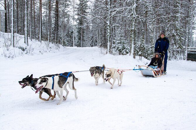 Small-Group Husky Mushing Experience in Rovaniemi - Rovaniemi Husky Mushing at Parpalandia: What You’re Really Buying