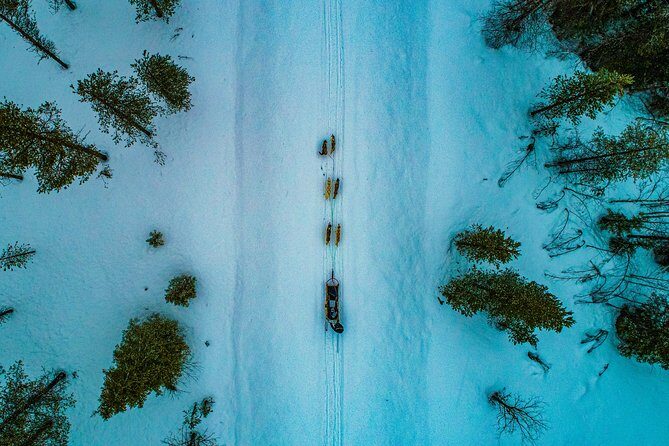 Small-Group Husky Mushing Experience in Rovaniemi - Steering the Sled: The 6–10 km Self-Drive Husky Mushing Safari