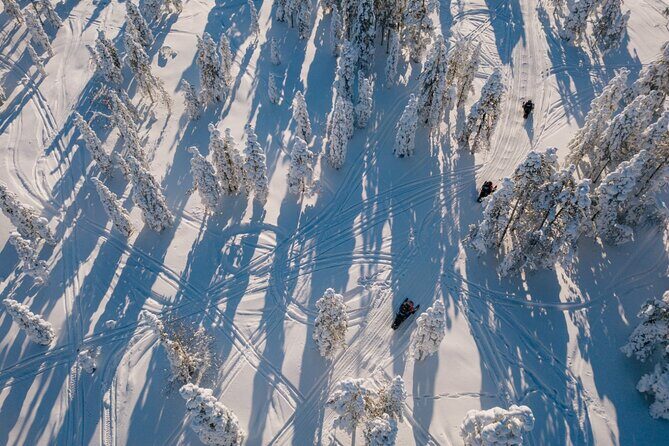 Snowmobile & Animals Day Tour - Key things to know before you plan your morning