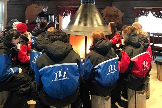 Snowmobile & Animals Day Tour - Husky sled ride: meeting the dogs and the feel of real Lapland energy