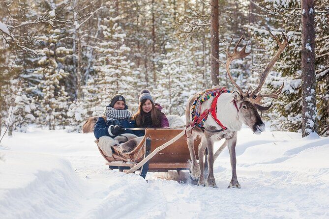 Snowmobile & Animals Day Tour - Group size, timing shifts, and how to avoid the cold-weather stress