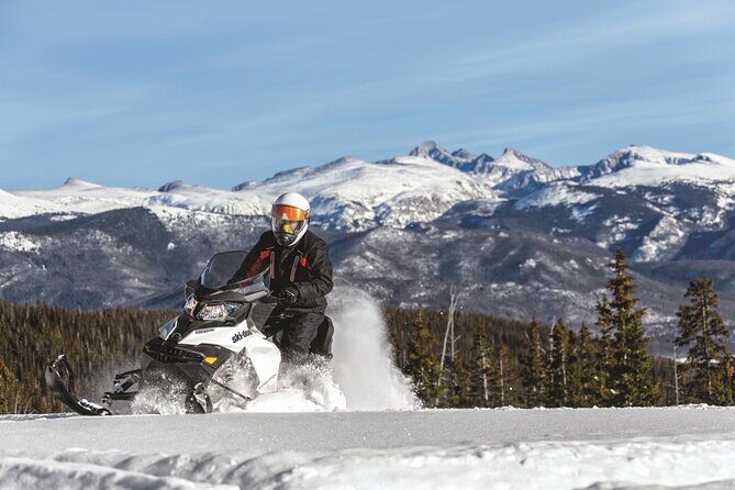 Snowmobile & Animals Day Tour - Snowmobiling around Rovaniemi: speed, licenses, and the skills jump