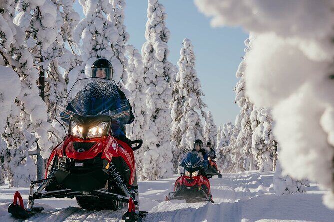 Snowmobile Safari into the Arctic Circle Forest - Key points you’ll care about