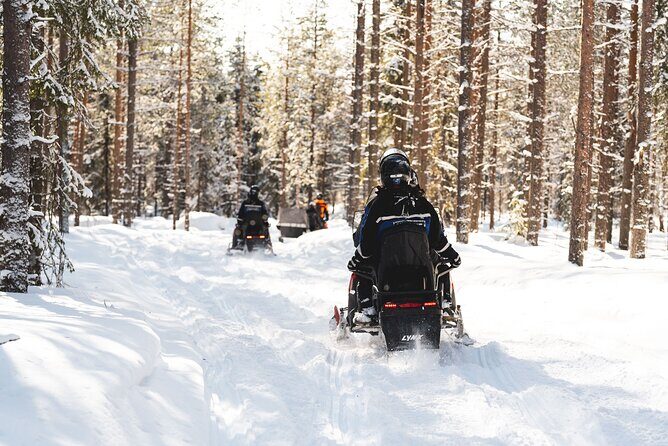 Snowmobile Safari into the Arctic Circle Forest - Snowmobile driving basics, licenses, and the safety rules that matter