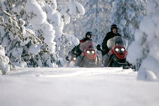 Snowmobile Safari through Lappish Forest from Rovaniemi - Key things I’d zero in on before you book