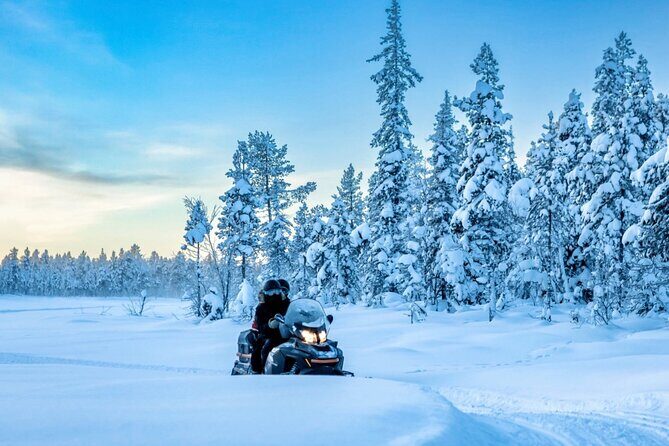 Snowmobile Tour with Small Group in Remote Wilderness 3 Hours - Key things that make this snowmobile tour work