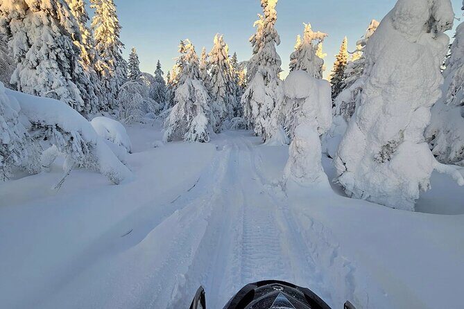 Snowmobile Tour with Small Group in Remote Wilderness 3 Hours - Comfort on the Machine: Heated Features and Real Winter Gear