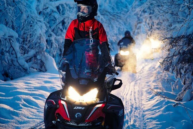 Snowmobile Tour with Small Group in Remote Wilderness 3 Hours - Who This Tour Suits Best (and Who Should Think Twice)