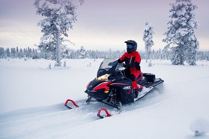 Snowmobile Tour with Small Group in Remote Wilderness 3 Hours - Meeting in Rovaniemi and Getting Kitted Up Properly