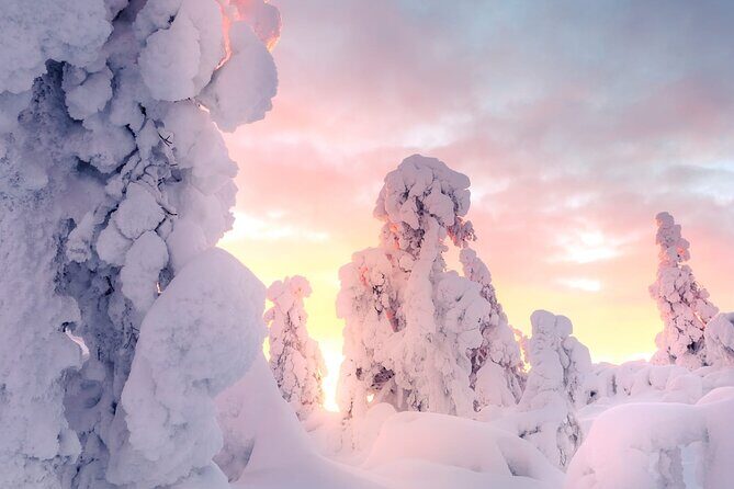 Snowmobile Tours in Rovaniemi Lapland - Key points