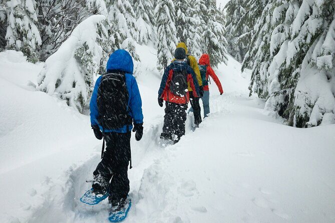 Snowshoeing tour with Wild Lunch - From Rovaniemi pickup to the hidden forest: the easy start